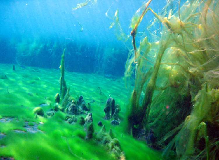 Immersione a Posta Fibreno (FR)